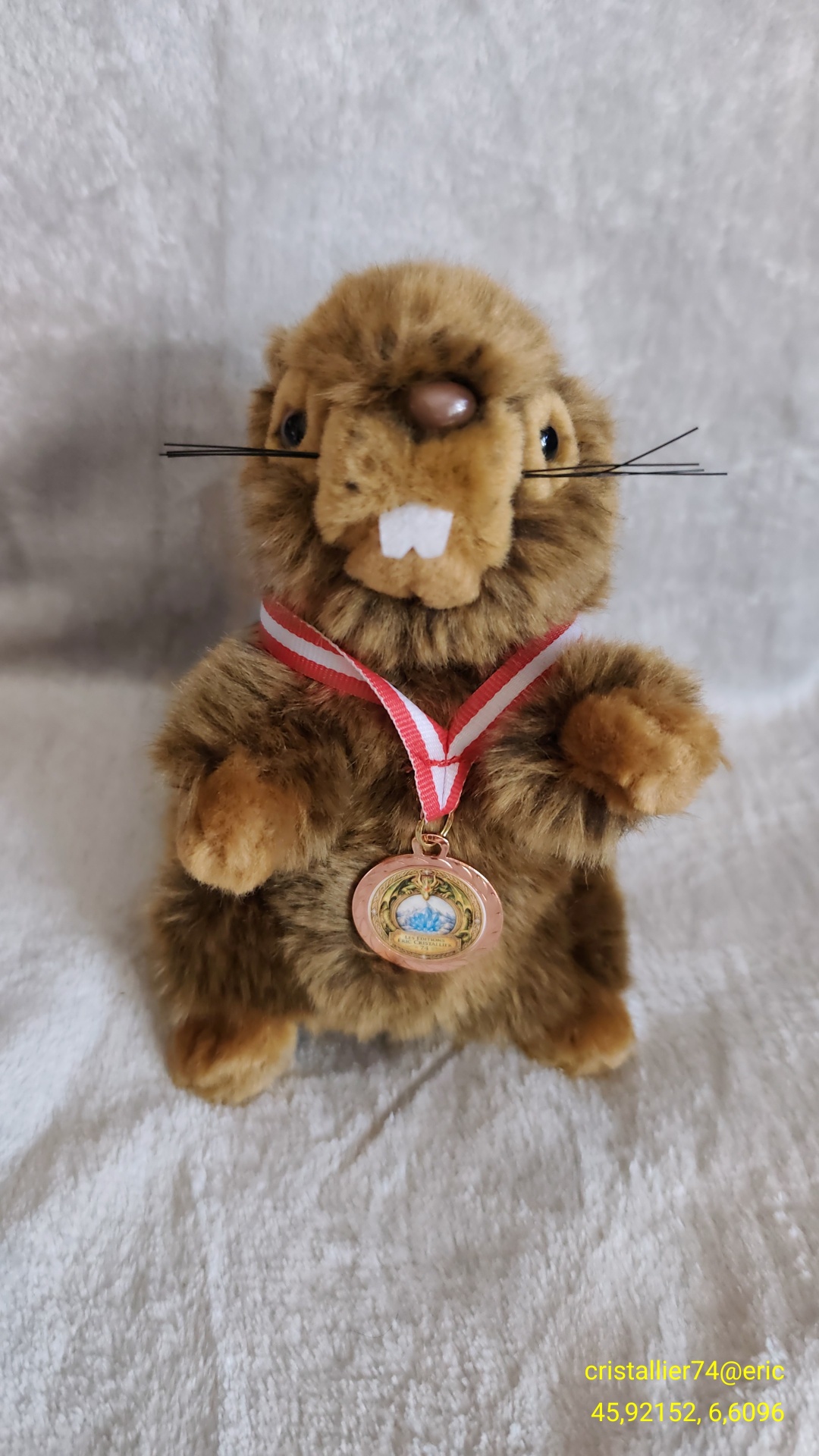 Couverture du livre Peluche marmotte cristallière avec médaillon du Massif du Mont-Blanc